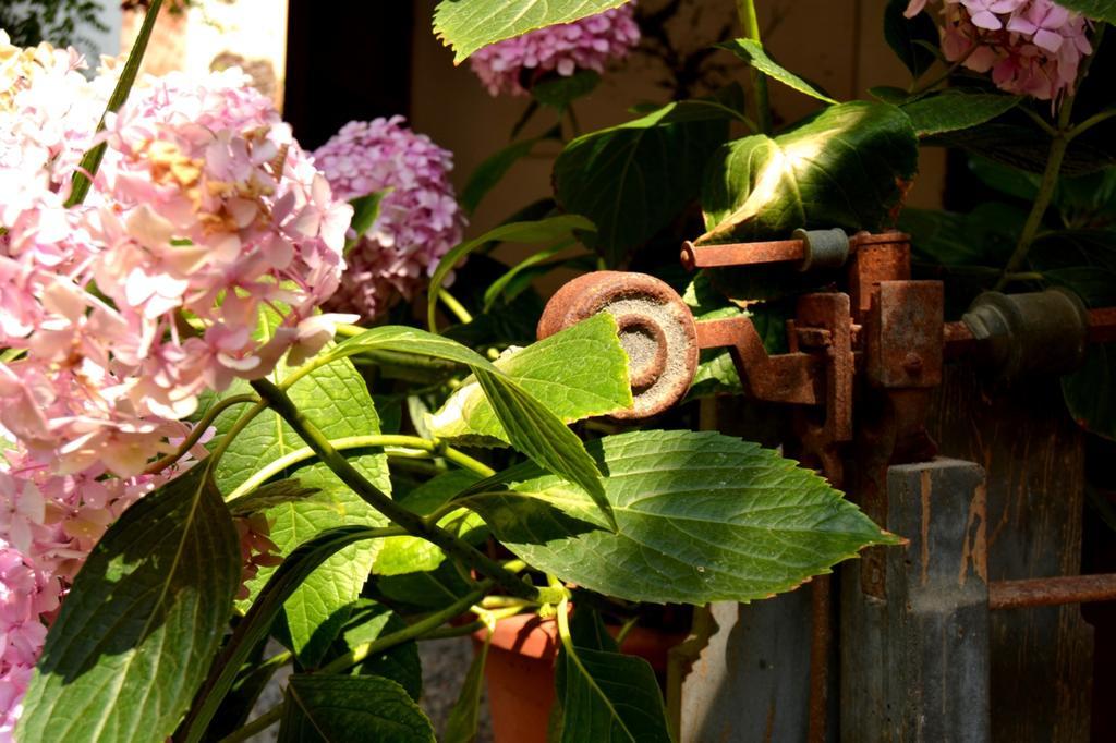 Marakasa B&B Sant Antoni De Calonge Exterior photo